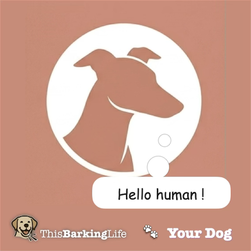 your dog